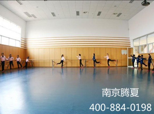 舞蹈中心舞蹈地膠