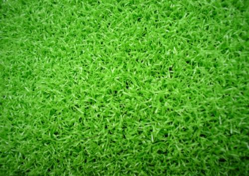 優(yōu)質(zhì)的人造草坪應(yīng)該如何選擇
