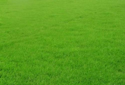 講述人造草坪有哪些應(yīng)用